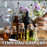 THẾ GIỚI TINH DẦU CAO CẤP