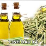 TINH DẦU XẢ CAO CẤP