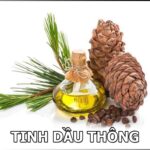 TINH DẦU THÔNG