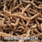HƯƠNG BA KÍCH